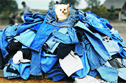 Pocketing Fabric